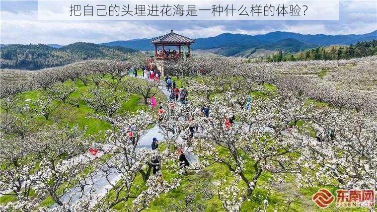 把自己的头埋进花海是一种什么样的体验？